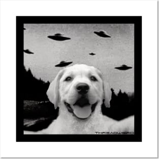 Funny UFO Selfie Labrador Retriever Posters and Art